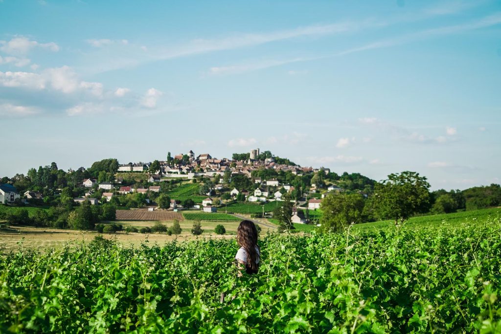 Une femme dans les vignes regarde le village de Sancerre © Ad2T du Cher