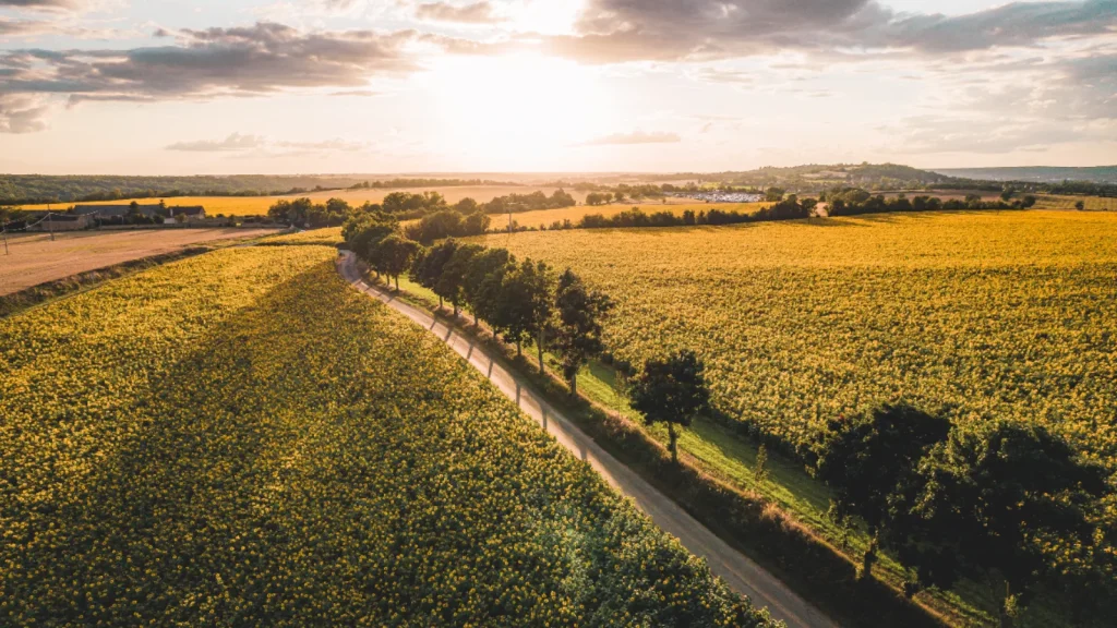 Paysage d'automne Berry @ Lezbroz