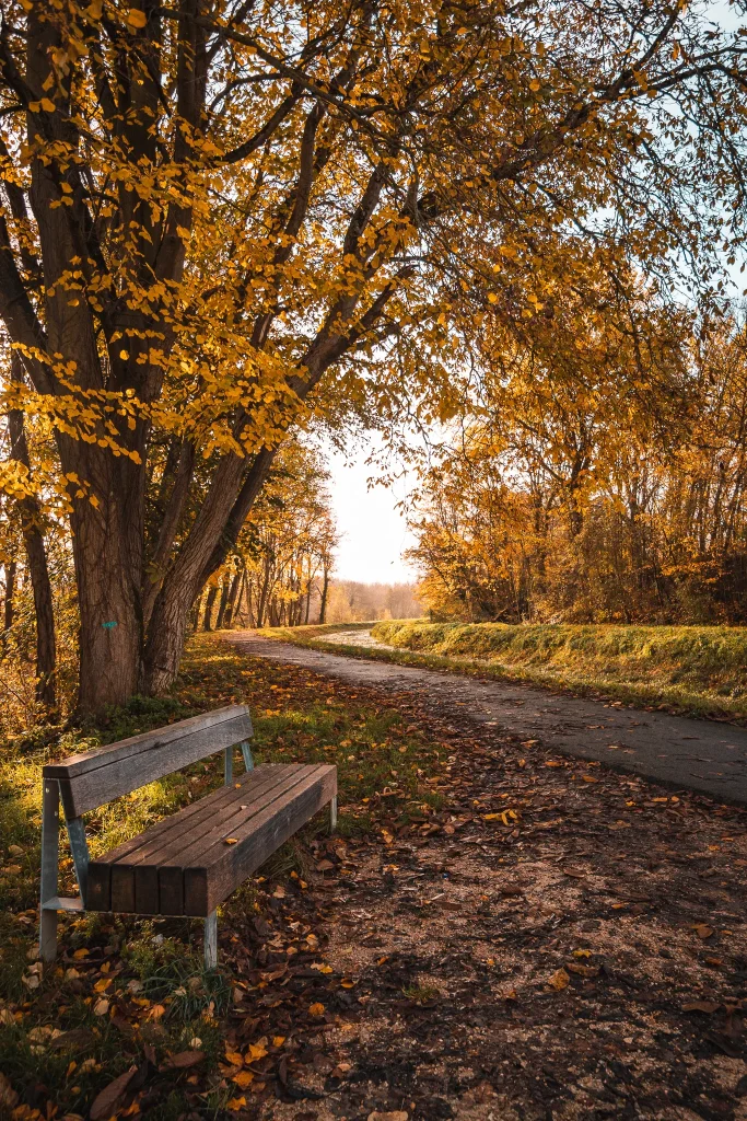 Parc du Duc Jean de Berry @ Ad2T