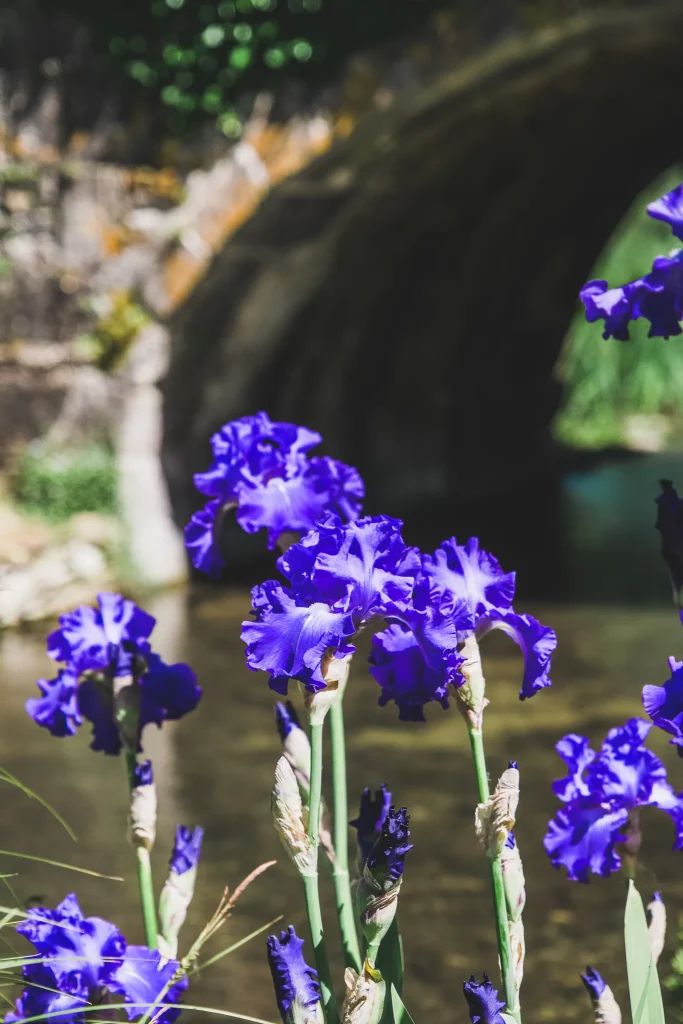 Jardin de Pesselières @ Ad2T