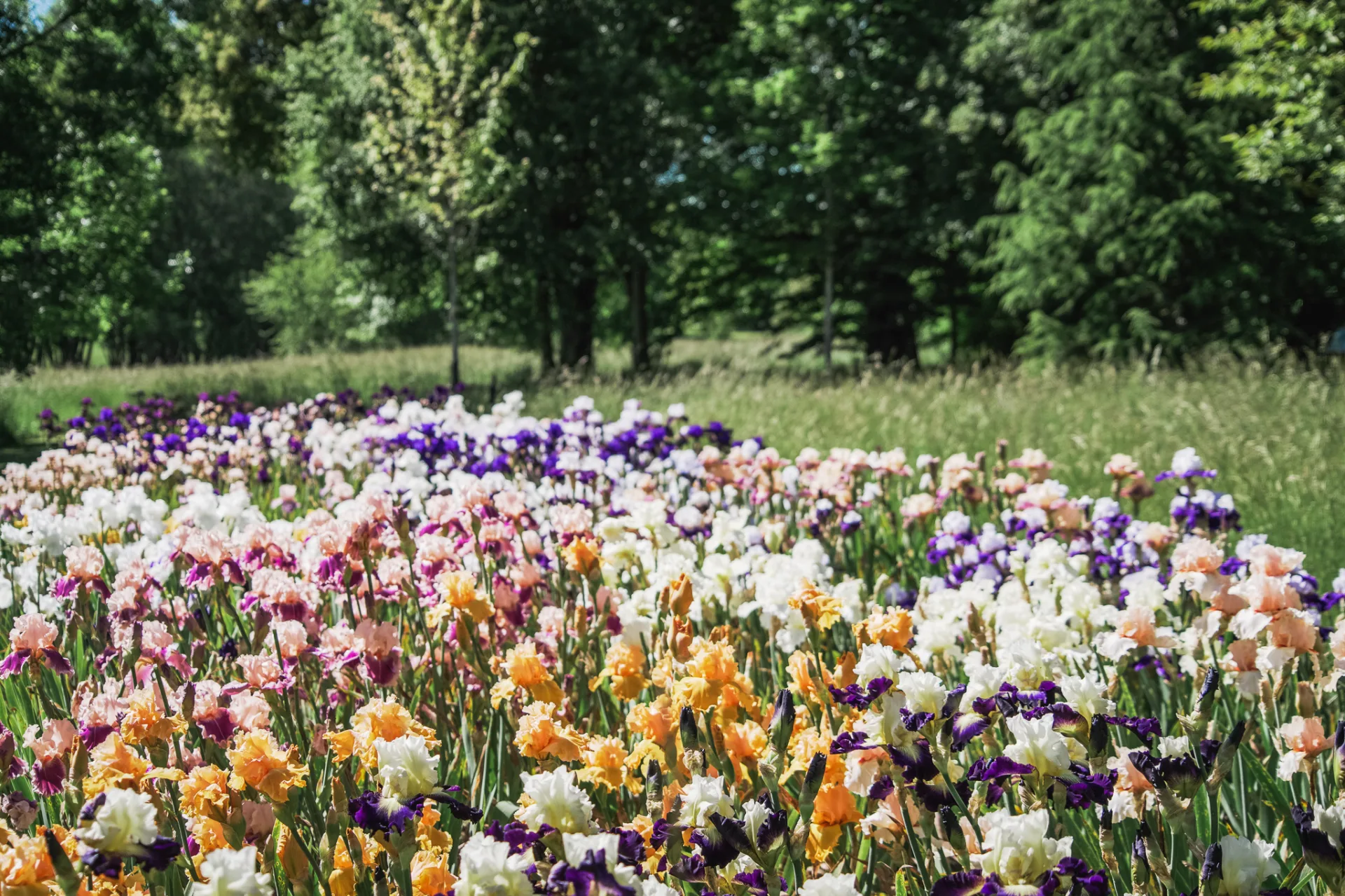 Jardin de Pesselières @ Ad2T