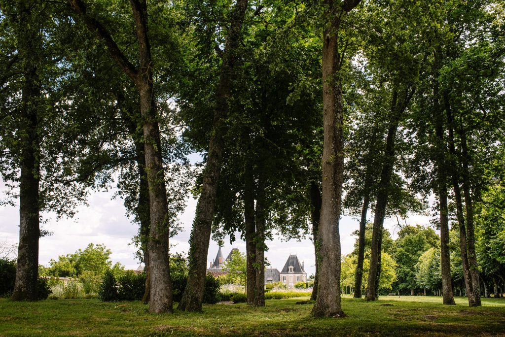 Parc du château d'Azay-le-Ferron - ©Gillard et Vincent