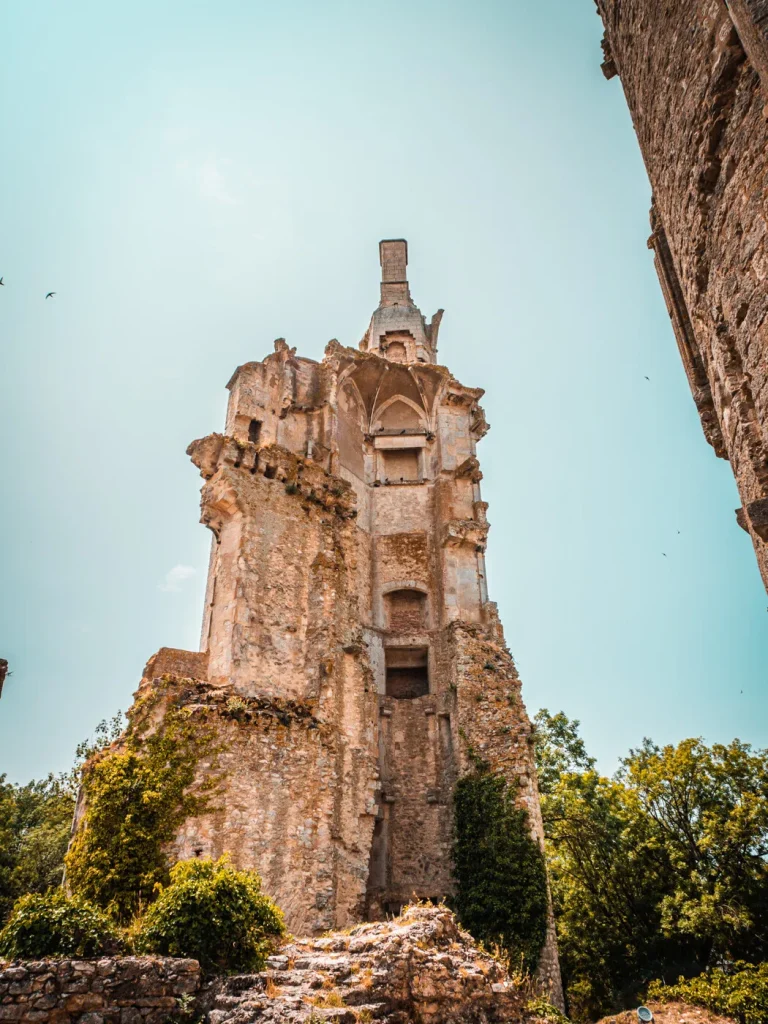 Château Charles VII ©AD2T