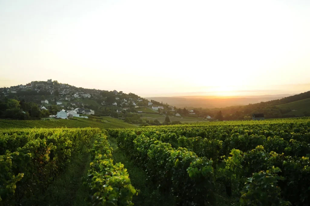 Vue sur Sancerre / ©Ad2T - Y. Rousset