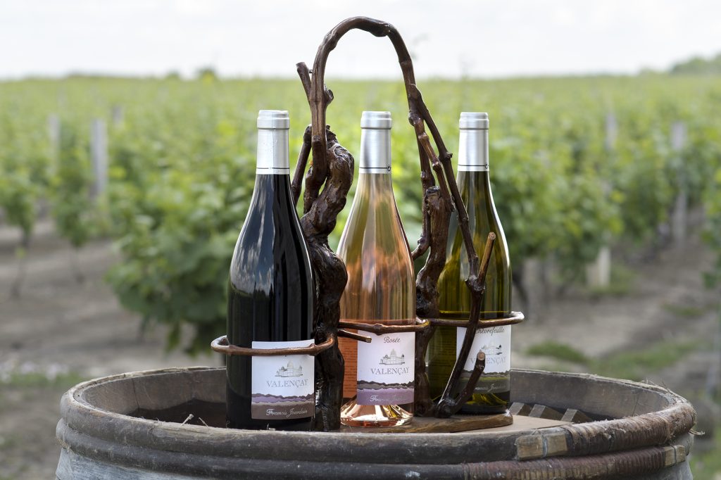 Vins de Valençay, vignoble Jourdain - ©Thierry Vincent