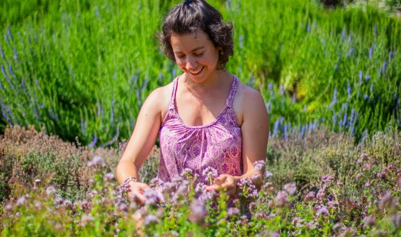 Les préparations aux plantes de Claire des Prés