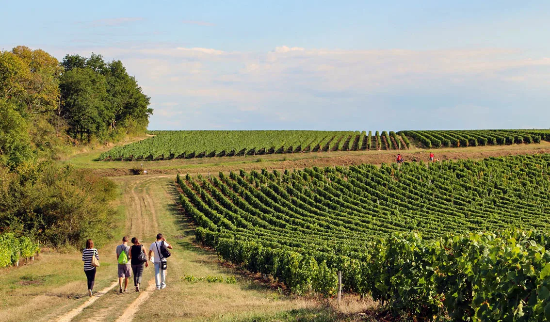 Week-end en Champagne Berrichonne : entre culture et gastronomie