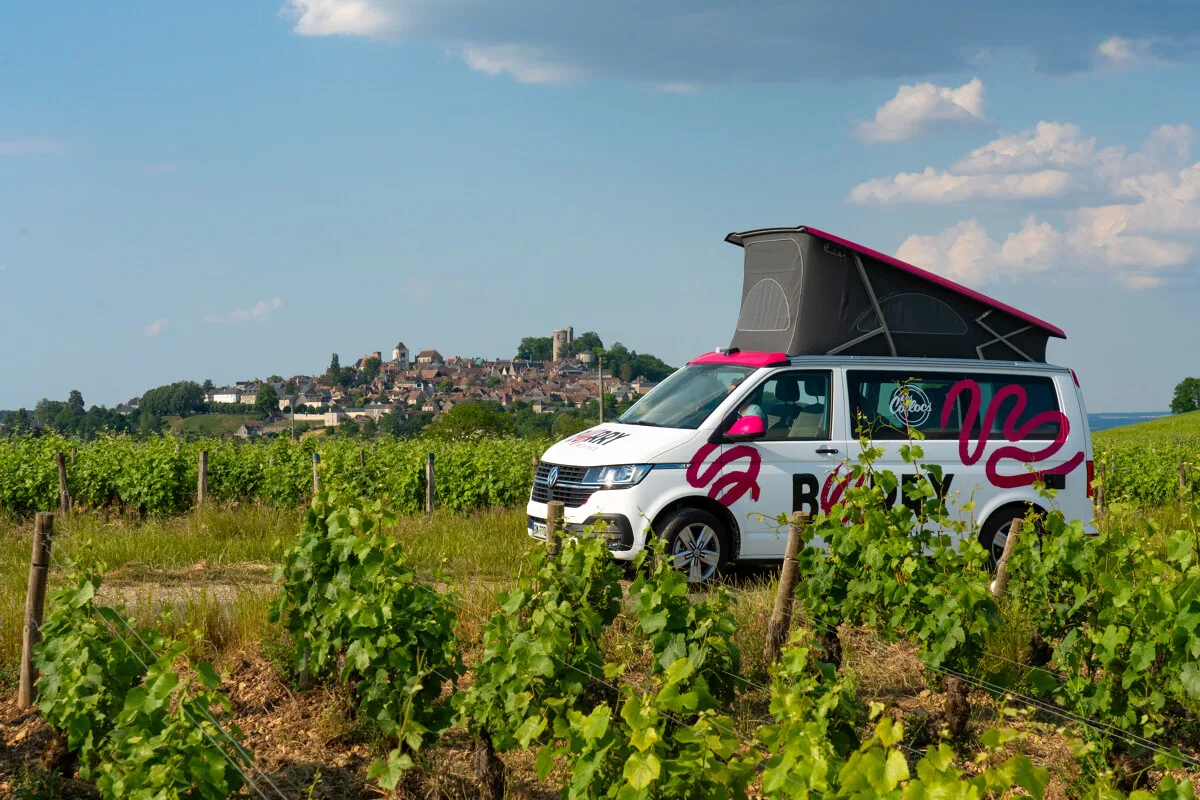 Vignes - Sancerre - Van