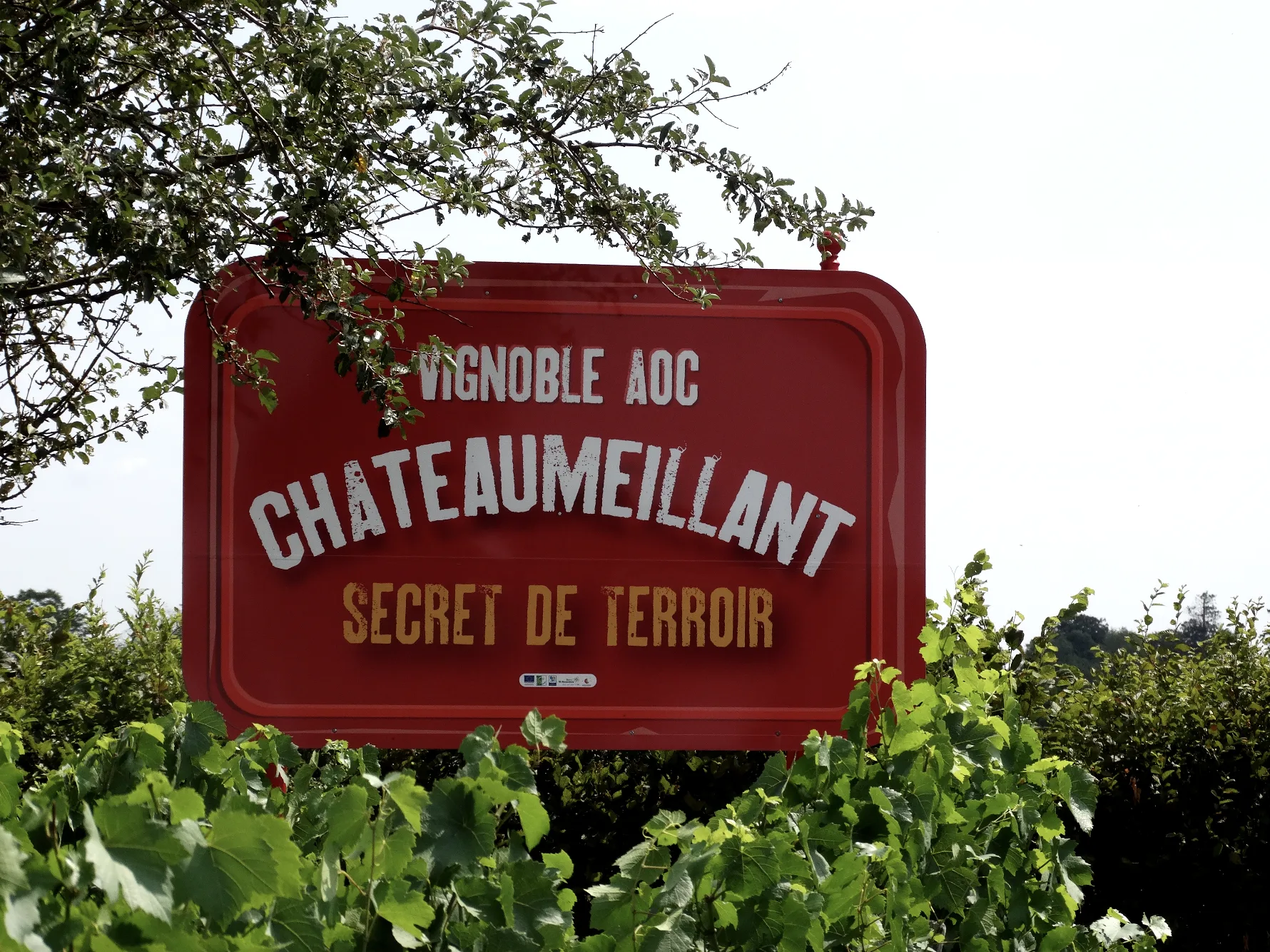 Vins de Châteaumeillant @ Ad2T