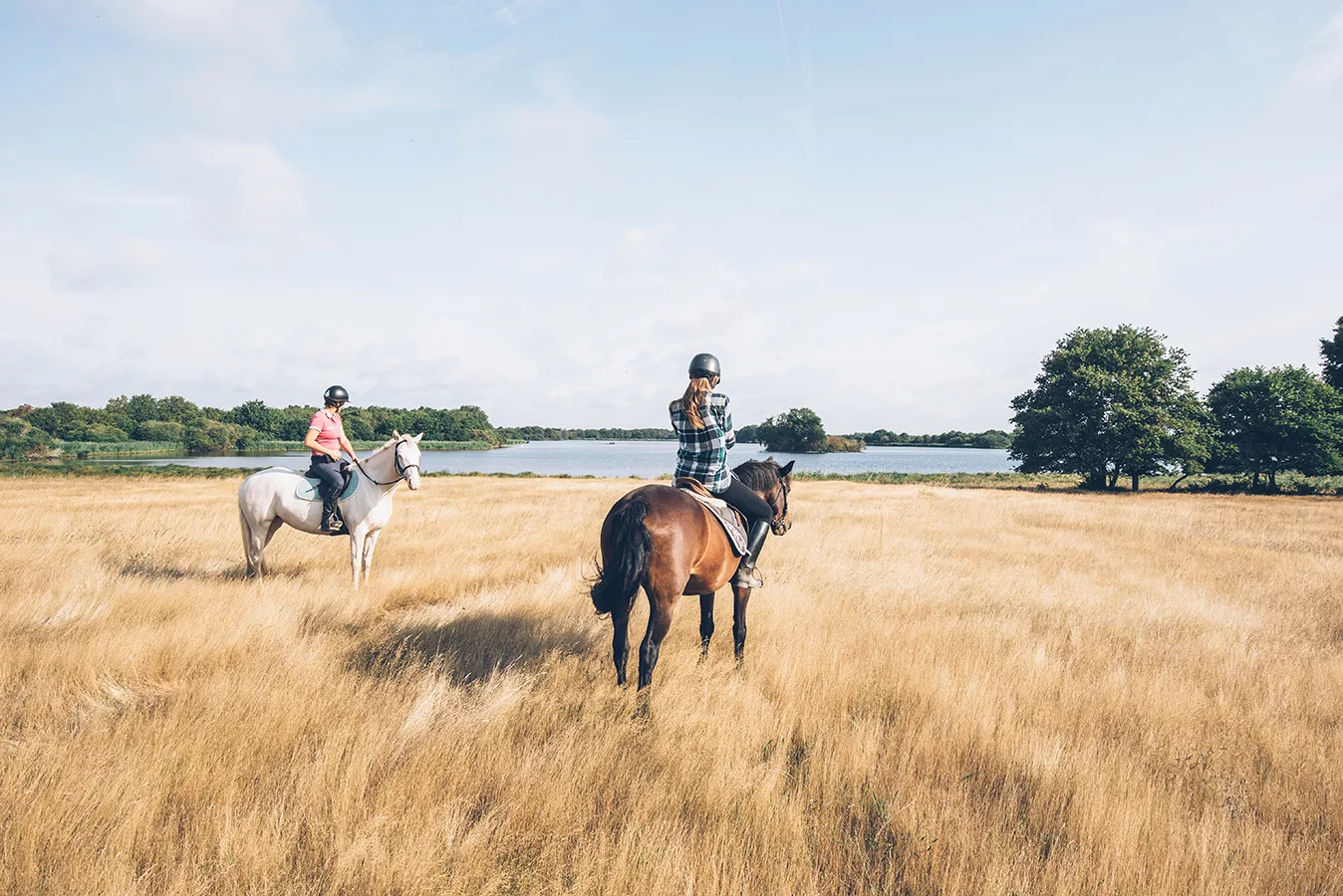 Le Berry à cheval