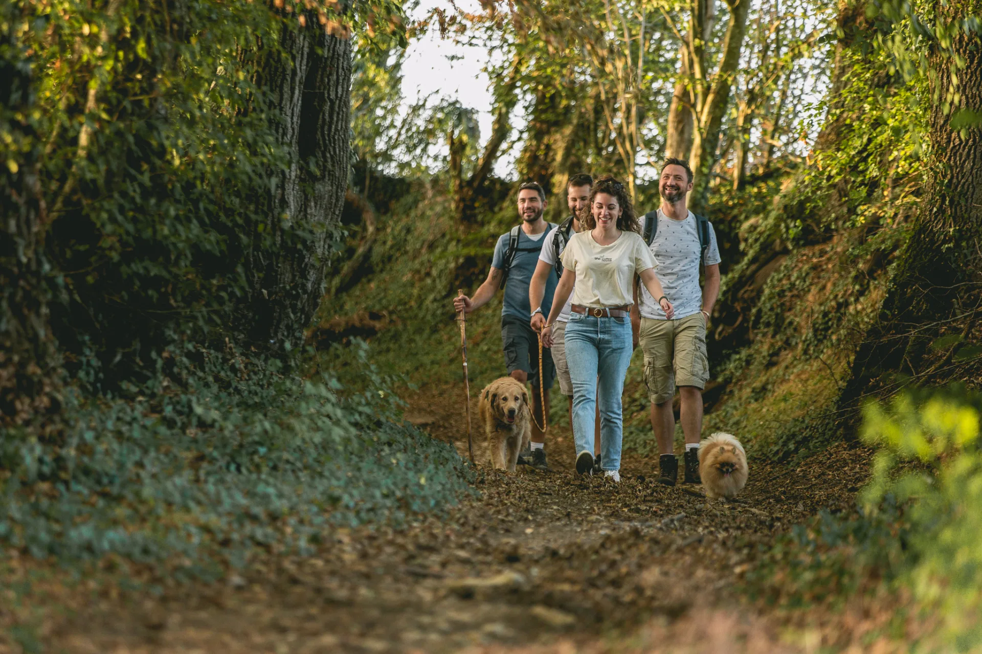 Randonnée avec mon chien