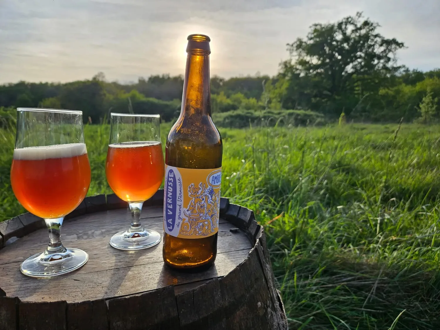 Bière & Terroir : des Brasseurs Qui Font Mousser le Berry