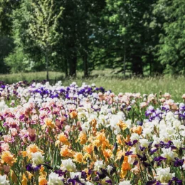 Jardin de Pesselières @ Ad2T