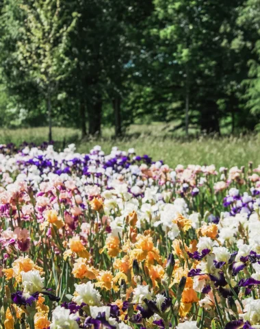 Jardin de Pesselières @ Ad2T