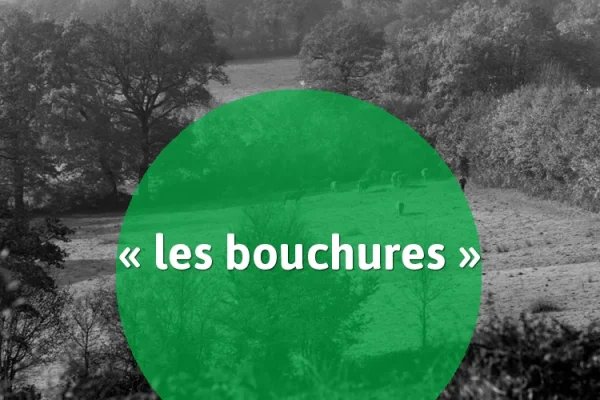 bouchures @ Berry Province