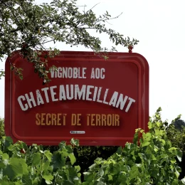 Vins de Châteaumeillant @ Ad2T