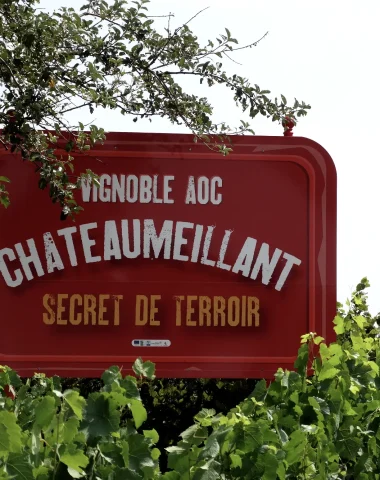 Vins de Châteaumeillant @ Ad2T