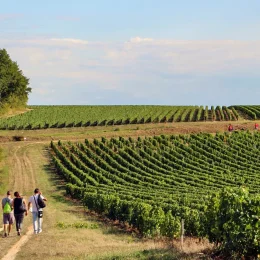 Week-end en Champagne Berrichonne : entre culture et gastronomie
