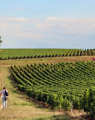 Week-end en Champagne Berrichonne : entre culture et gastronomie