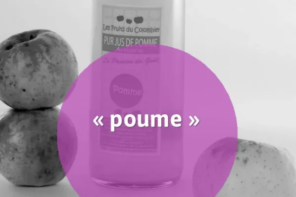 12 mots typiques de la gastronomie berrichonne