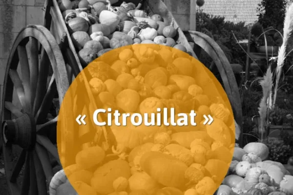 12 mots typiques de la gastronomie berrichonne