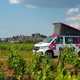 Vignes - Sancerre - Van