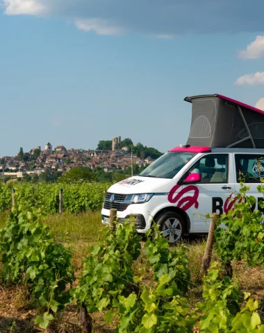 Vignes - Sancerre - Van