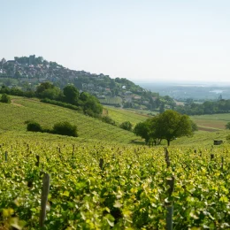 20 bonnes raisons de venir en Berry pour un parisien