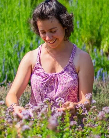 Les préparations aux plantes de Claire des Prés