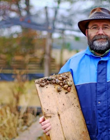 La ferme « Escar’bio du Berry », portrait de Didier Martinat