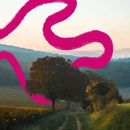Sancerre @ Ad2T