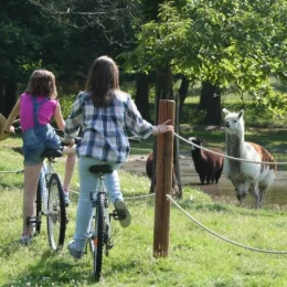 Enfants à la ferme @adti