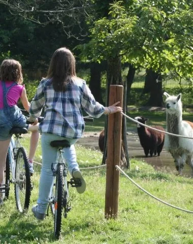 Enfants à la ferme @adti