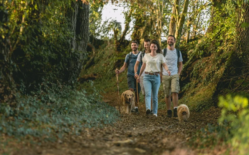 Randonnée avec mon chien
