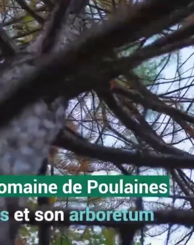 Le domaine de Poulaines
