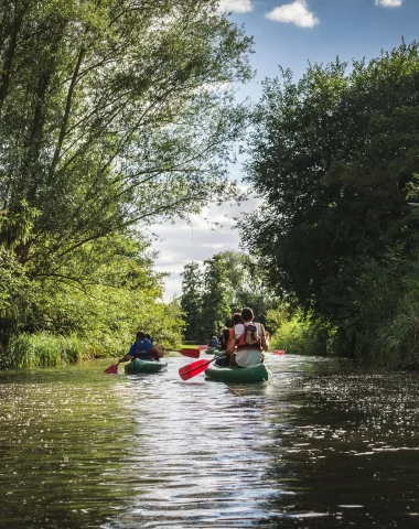 Sortie nature - les Marais de Bourges