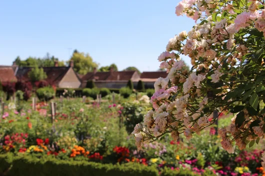 10 jardins du Berry à visiter au printemps