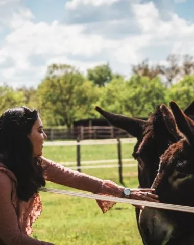 Pôle du Cheval et de l'Âne @AD2T