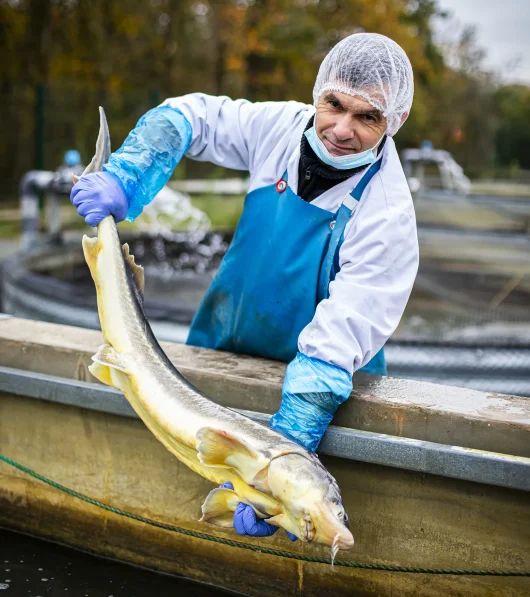 Les poissons fumés de Fish Brenne