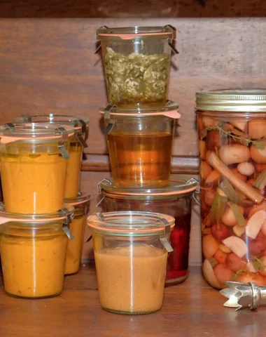 Le plaisir de la cuisine végétale, au Sanglier Hirsute