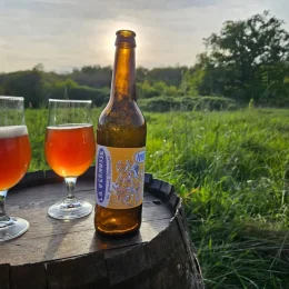 Bière & Terroir : des Brasseurs Qui Font Mousser le Berry