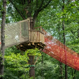 Le Wood Arts Festival : une journée d’art et de musique au Wood Parc