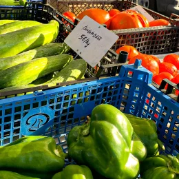 Notre sélection de marchés pour goûter le Berry
