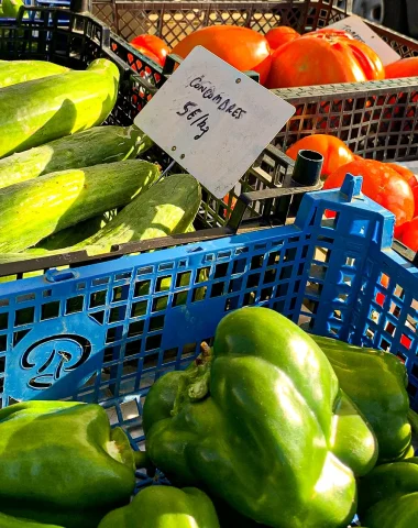 Notre sélection de marchés pour goûter le Berry