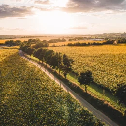 Paysage d'automne Berry @ Lezbroz