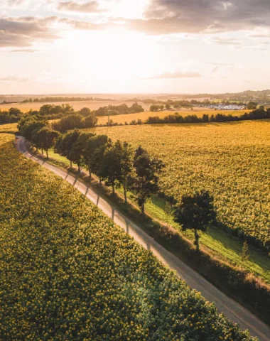 Paysage d'automne Berry @ Lezbroz